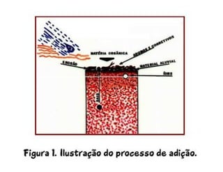 ApresentaçãO Aula 7