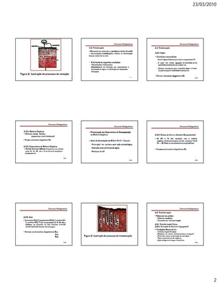 23/03/2010




        2
 