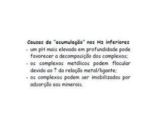 ApresentaçãO Aula 8