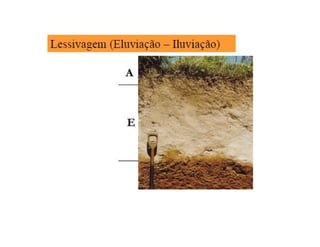 ApresentaçãO Aula 8