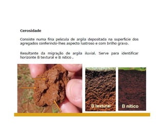 ApresentaçãO Aula 8