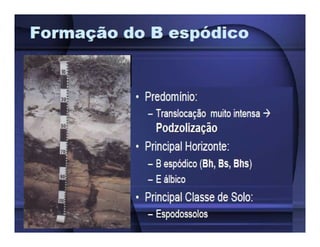 ApresentaçãO Aula 8