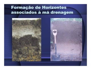 ApresentaçãO Aula 8