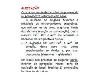 ApresentaçãO Aula 8