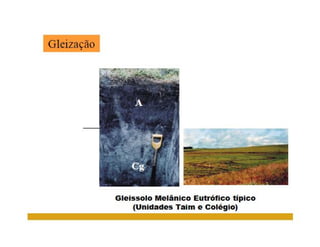 ApresentaçãO Aula 8