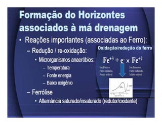 ApresentaçãO Aula 8
