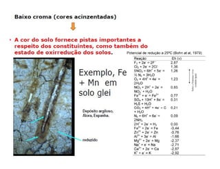 ApresentaçãO Aula 8