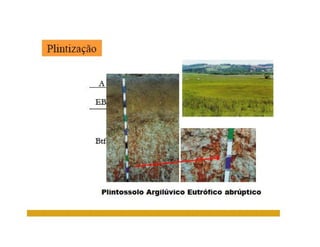 ApresentaçãO Aula 8