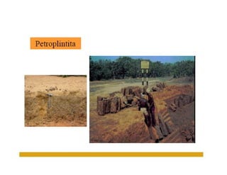 ApresentaçãO Aula 8