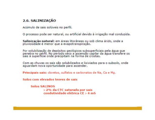 ApresentaçãO Aula 8