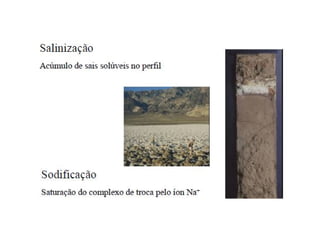 ApresentaçãO Aula 8