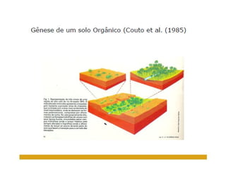 ApresentaçãO Aula 8