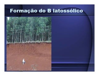 ApresentaçãO Aula 8