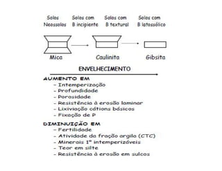 ApresentaçãO Aula 8