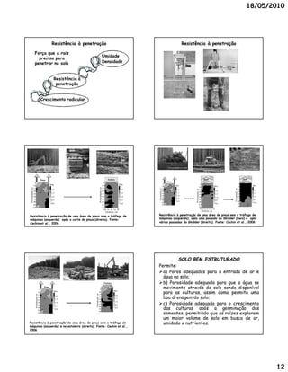18/05/2010




                                                             Resistência à penetração                                                                                                  Resistência à penetração

                     Força que a raiz
                                                                                                                      Umidade
                       precisa para
                     penetrar no solo                                                                                 Densidade



                                                               Resistência à
                                                                penetração


                                                 Crescimento radicular




                                                 Pinus                                                                      Esteira                                                                                  pneu                                        pneu
                                                                                                                                                                        Pinus
                     5                                                                                                 5
                                                            MPa                                                                          MPa                        5                                            5                                           5
                    10                                                                                                10                                           10           MPa                                              MPa                        10          MPa
                                                                                                                                                                                                                10
                                                                                                   Profundidade, cm
 Profundidade, cm




                    15                                                                                                15
                                                                                                                                                Profundidade, cm




                                                                                                                                                                                                                                         Profundidade, cm
                                                                                                                                                                   15                                                                                       15



                                                                                                                                                                                             Profundidade, cm
                                                             2.0                                                                          2.0                                    2.0                            15                                                       2.0
                    20                                                                                                20                                           20                                                              2.0                      20
                                                                                                                                                                                 1.5                            20
                    25                                       1.5                                                      25                  1.5                      25                                                              1.5                      25           1.5
                                                                                                                                                                                                                25
                                                                                                                                                                   30            1.0
                    30                                       1.0                                                      30                  1.0                                                                   30                 1.0                      30           1.0
                                                                                                                                                                   35            0.5
                    35                                                                                                35                                                                                        35                                          35           0.5
                                                             0.5                                                                          0.5                      40                                                              0.5
                    40                                                                                                40                                                         0.0                            40                                          40
                                                                                                                                                                   45                                                                                                    0.0
                                                             0.0                                                                          0.0                                                                   45
                                                                                                                                                                                                                                   0.0                      45
                    45                                                                                                45                                           50
                                                                                                                                                                                                                50                                          50
                    50                                                                                                50
                                                                                                                        28 14 0 14     28                                                                        35 17,5 0 17,5 35
                                                                                                                                                                                                                   Distância, cm
                                                                                                                          Distância, cm
Resistência à penetração de uma área de pinus sem o tráfego de                                                                                  Resistência à penetração de uma área de pinus sem o tráfego de
máquinas (esquerda) após o corte do pinus (direita). Fonte:                                                                                     máquinas (esquerda), após uma passado do Skidder (meio) e após
Cechin et al., 2006                                                                                                                             várias passadas do Skidder (direita). Fonte: Cechin et al., 2006




                                                                                                                                                                                  SOLO BEM ESTRUTURADO
                                                                                                                                                Permite:
                                                                                                                                                Permite:
                                                                                                                                                 a) Poros adequados para a entrada de ar e
                                                                                                                                                  água no solo;
                                                                                                                                                          solo;
                                                                                                                        Estaleiro                b) Porosidade adequada para que a água se
                                             5
                                                    Pinus
                                                                                                    5
                                                                                                                                                  movimente através do solo sendo disponível
                                            10                 MPa                                 10
                                                                                                                                    MPa
                                                                                                                                                  para as culturas, assim como permita uma
                                                                                Profundidade, cm




                                                                                                   15
                         Profundidade, cm




                                            15                                                                                       2.0
                                            20
                                            25
                                                                   2.0
                                                                   1.5
                                                                                                   20
                                                                                                   25                                1.5          boa drenagem do solo;
                                                                                                                                                                    solo;
                                                                                                   30                                1.0
                                            30
                                            35
                                                                   1.0
                                                                   0.5
                                                                                                   35                                0.5         c) Porosidade adequada para o crescimento
                                                                                                   40
                                            40
                                            45
                                                                   0.0                             45
                                                                                                                                     0.0
                                                                                                                                                  das culturas após a germinação das
                                                                                                   50
                                            50
                                                                                                                                                  sementes, permitindo que as raízes explorem
                                                                                                                                                  um maior volume de solo em busca de ar,
Resistência à penetração de uma área de pinus sem o tráfego de                                                                                    umidade e nutrientes.
                                                                                                                                                             nutrientes.
máquinas (esquerda) e no estaleiro (direita). Fonte: Cechin et al.,
2006




                                                                                                                                                                                                                                                                               12
 