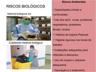 Riscos Ambientais

RISCOS BIOLÓGICOS
Material biológicos em
laboratórios

• Capacitações iniciais e
continuadas;
• Uso dos epi's: luvas, protetores
respiratórios, protetores
faciais, óculos;
 Hábitos de higiene Pessoal;
 Higiene rigorosa nos locais de

Coletando material biológico

trabalho
• Instalações adequadas para
refeições e descanso;
• Uso de roupas e calçados
adequados;
• Vacinação e o tratamento.

 