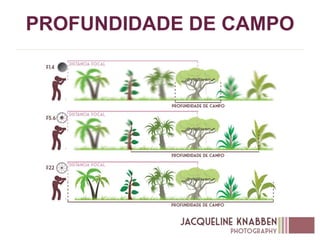 PROFUNDIDADE DE CAMPO
 