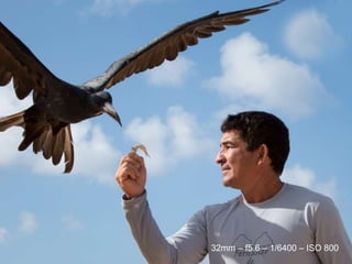 32mm – f5.6 – 1/6400 – ISO 800
 