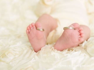 52mm – f4 – 1/200 – ISO 640
 