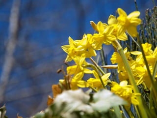 Viagens e fotografia
105mm – f5.6 – 1/400 – ISO 200
 