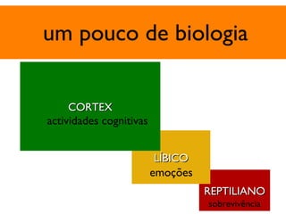 um pouco de biologia REPTILIANO LÍBICO CORTEX actividades cognitivas emoções sobrevivência 