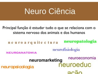 Neuro Ciência Principal função é estudar tudo o que se relaciona com o sistema nervoso dos animais e dos humanos neuroanatomia neuropsicologia neuropatologia neurofisiologia neuroeconomia neuromarketing neuroarquitectura neuroeducação 