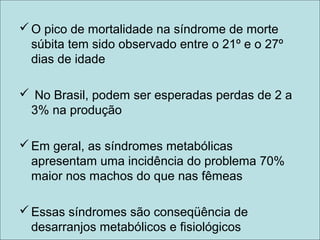O pico de mortalidade na síndrome de morte
súbita tem sido observado entre o 21º e o 27º
dias de idade
 No Brasil, podem ser esperadas perdas de 2 a
3% na produção
Em geral, as síndromes metabólicas
apresentam uma incidência do problema 70%
maior nos machos do que nas fêmeas
Essas síndromes são conseqüência de
desarranjos metabólicos e fisiológicos
 