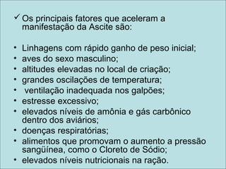 Os principais fatores que aceleram a
manifestação da Ascite são:
• Linhagens com rápido ganho de peso inicial;
• aves do sexo masculino;
• altitudes elevadas no local de criação;
• grandes oscilações de temperatura;
• ventilação inadequada nos galpões;
• estresse excessivo;
• elevados níveis de amônia e gás carbônico
dentro dos aviários;
• doenças respiratórias;
• alimentos que promovam o aumento a pressão
sangüínea, como o Cloreto de Sódio;
• elevados níveis nutricionais na ração.
 