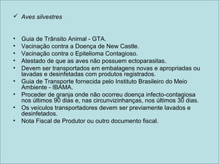  Aves silvestres
• Guia de Trânsito Animal - GTA.
• Vacinação contra a Doença de New Castle.
• Vacinação contra o Epitelioma Contagioso.
• Atestado de que as aves não possuem ectoparasitas.
• Devem ser transportados em embalagens novas e apropriadas ou
lavadas e desinfetadas com produtos registrados.
• Guia de Transporte fornecida pelo Instituto Brasileiro do Meio
Ambiente - IBAMA.
• Proceder de granja onde não ocorreu doença infecto-contagiosa
nos últimos 90 dias e, nas circunvizinhanças, nos últimos 30 dias.
• Os veículos transportadores devem ser previamente lavados e
desinfetados.
• Nota Fiscal de Produtor ou outro documento fiscal.
 