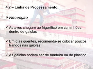 4.2 – Linha de Processamento
Recepção
As aves chegam ao frigorífico em caminhões,
dentro de gaiolas
Em dias quentes, recomenda-se colocar poucos
frangos nas gaiolas
As gaiolas podem ser de madeira ou de plástico
 