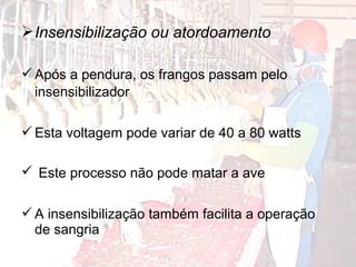 Insensibilização ou atordoamento
Após a pendura, os frangos passam pelo
insensibilizador
Esta voltagem pode variar de 40 a 80 watts
 Este processo não pode matar a ave
A insensibilização também facilita a operação
de sangria
 