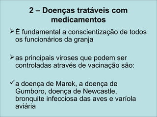 2 – Doenças tratáveis com
medicamentos
É fundamental a conscientização de todos
os funcionários da granja
as principais viroses que podem ser
controladas através de vacinação são:
a doença de Marek, a doença de
Gumboro, doença de Newcastle,
bronquite infecciosa das aves e varíola
aviária
 