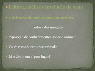 Leitura, análise e produção de texto
 1. Ativação de conhecimentos prévios
Leitura das imagens
 exposição de conhecimentos sobre o animal:
 Vocês reconhecem esse animal?
 Já o viram em algum lugar?
 