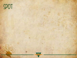 Apresentação aviação