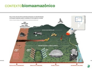 CONTEXTObiomaamazônico
 