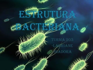 Estrutura
BactEriana
turma 203
-LaurianE
-isadora
 