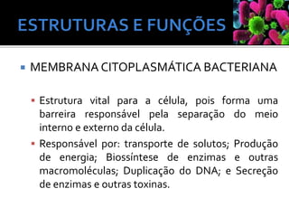  MEMBRANA CITOPLASMÁTICA BACTERIANA
 Estrutura vital para a célula, pois forma uma
barreira responsável pela separação do meio
interno e externo da célula.
 Responsável por: transporte de solutos; Produção
de energia; Biossíntese de enzimas e outras
macromoléculas; Duplicação do DNA; e Secreção
de enzimas e outras toxinas.
 