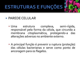  PAREDE CELULAR
 Uma estrutura complexa, semi-rígida,
responsável pela forma da célula, que circunda a
membrana citoplasmática, protegendo-a das
alterações adversas no ambiente externo.
 A principal função é prevenir a ruptura (proteção)
das células bacterianas e serve como ponto de
ancoragem para os flagelos.
 