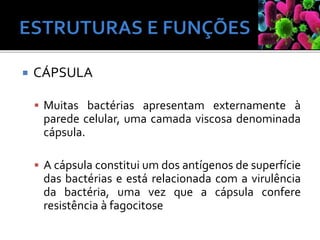  CÁPSULA
 Muitas bactérias apresentam externamente à
parede celular, uma camada viscosa denominada
cápsula.
 A cápsula constitui um dos antígenos de superfície
das bactérias e está relacionada com a virulência
da bactéria, uma vez que a cápsula confere
resistência à fagocitose
 