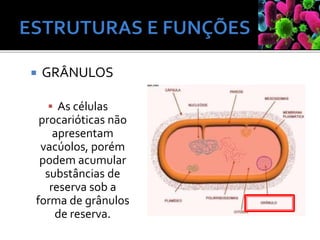  GRÂNULOS
 As células
procarióticas não
apresentam
vacúolos, porém
podem acumular
substâncias de
reserva sob a
forma de grânulos
de reserva.
 