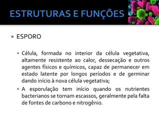  ESPORO
 Célula, formada no interior da célula vegetativa,
altamente resistente ao calor, dessecação e outros
agentes físicos e químicos, capaz de permanecer em
estado latente por longos períodos e de germinar
dando início à nova célula vegetativa;
 A esporulação tem início quando os nutrientes
bacterianos se tornam escassos, geralmente pela falta
de fontes de carbono e nitrogênio.
 