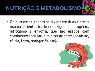  Os nutrientes podem se dividir em duas classes:
macronutrientes (carbono, oxigênio, hidrogênio,
nitrogênio e enxofre, que são usados com
combustível celular) e micronutrientes (potássio,
cálcio, ferro, manganês, etc).
 