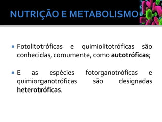  Fotolitotróficas e quimiolitotróficas são
conhecidas, comumente, como autotróficas;
 E as espécies fotorganotróficas e
quimiorganotróficas são designadas
heterotróficas.
 