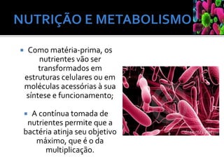  Como matéria-prima, os
nutrientes vão ser
transformados em
estruturas celulares ou em
moléculas acessórias à sua
síntese e funcionamento;
 A contínua tomada de
nutrientes permite que a
bactéria atinja seu objetivo
máximo, que é o da
multiplicação.
 