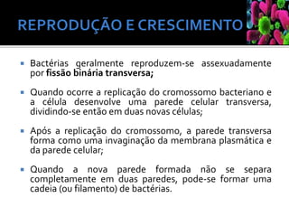  Bactérias geralmente reproduzem-se assexuadamente
por fissão binária transversa;
 Quando ocorre a replicação do cromossomo bacteriano e
a célula desenvolve uma parede celular transversa,
dividindo-se então em duas novas células;
 Após a replicação do cromossomo, a parede transversa
forma como uma invaginação da membrana plasmática e
da parede celular;
 Quando a nova parede formada não se separa
completamente em duas paredes, pode-se formar uma
cadeia (ou filamento) de bactérias.
 