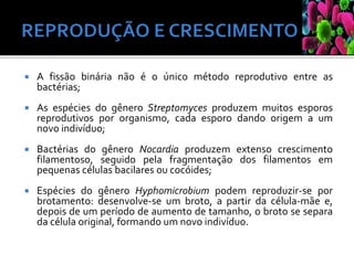  A fissão binária não é o único método reprodutivo entre as
bactérias;
 As espécies do gênero Streptomyces produzem muitos esporos
reprodutivos por organismo, cada esporo dando origem a um
novo indivíduo;
 Bactérias do gênero Nocardia produzem extenso crescimento
filamentoso, seguido pela fragmentação dos filamentos em
pequenas células bacilares ou cocóides;
 Espécies do gênero Hyphomicrobium podem reproduzir-se por
brotamento: desenvolve-se um broto, a partir da célula-mãe e,
depois de um período de aumento de tamanho, o broto se separa
da célula original, formando um novo indivíduo.
 