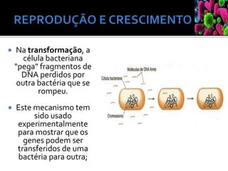  Na transformação, a
célula bacteriana
"pega" fragmentos de
DNA perdidos por
outra bactéria que se
rompeu.
 Este mecanismo tem
sido usado
experimentalmente
para mostrar que os
genes podem ser
transferidos de uma
bactéria para outra;
 
