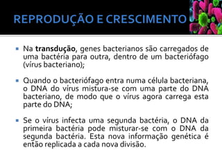  Na transdução, genes bacterianos são carregados de
uma bactéria para outra, dentro de um bacteriófago
(vírus bacteriano);
 Quando o bacteriófago entra numa célula bacteriana,
o DNA do vírus mistura-se com uma parte do DNA
bacteriano, de modo que o vírus agora carrega esta
parte do DNA;
 Se o vírus infecta uma segunda bactéria, o DNA da
primeira bactéria pode misturar-se com o DNA da
segunda bactéria. Esta nova informação genética é
então replicada a cada nova divisão.
 
