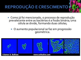  Como já foi mencionado, o processo de reprodução
prevalecente entre as bactérias é a fissão binária; uma
célula se divide, formando duas células;
 O aumento populacional se faz em progressão
geométrica.
 