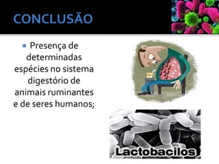  Presença de
determinadas
espécies no sistema
digestório de
animais ruminantes
e de seres humanos;
 